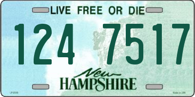NH license plate 1247517