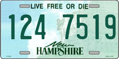 NH license plate 1247519