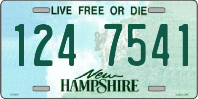 NH license plate 1247541