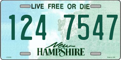 NH license plate 1247547