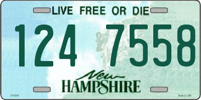 NH license plate 1247558
