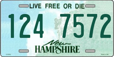 NH license plate 1247572