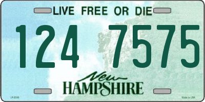 NH license plate 1247575