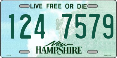 NH license plate 1247579