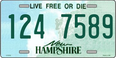 NH license plate 1247589