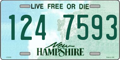 NH license plate 1247593