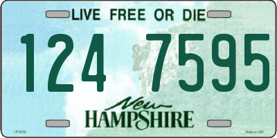 NH license plate 1247595