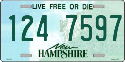 NH license plate 1247597