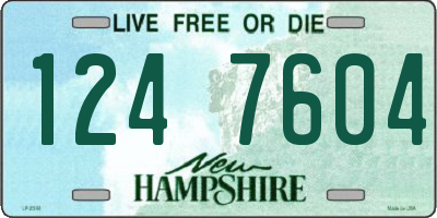 NH license plate 1247604
