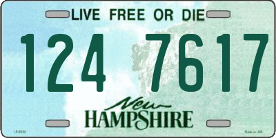 NH license plate 1247617