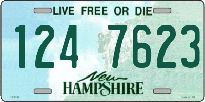 NH license plate 1247623