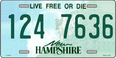 NH license plate 1247636