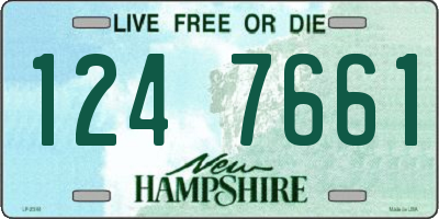NH license plate 1247661