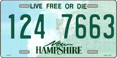 NH license plate 1247663