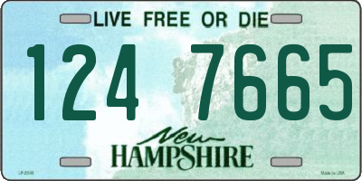 NH license plate 1247665