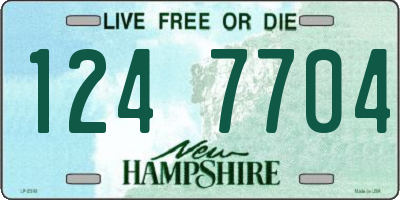 NH license plate 1247704