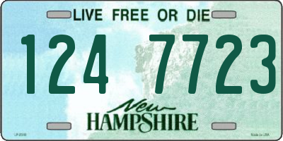 NH license plate 1247723