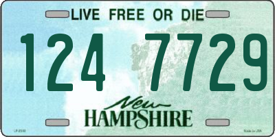 NH license plate 1247729