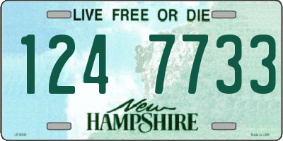 NH license plate 1247733