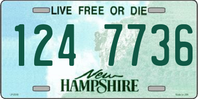 NH license plate 1247736