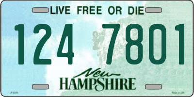 NH license plate 1247801