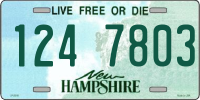 NH license plate 1247803