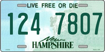 NH license plate 1247807