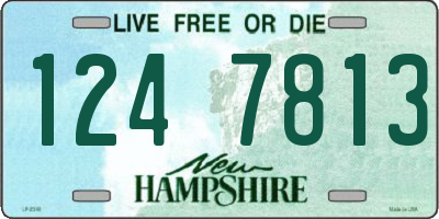 NH license plate 1247813