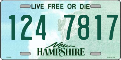 NH license plate 1247817
