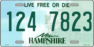 NH license plate 1247823