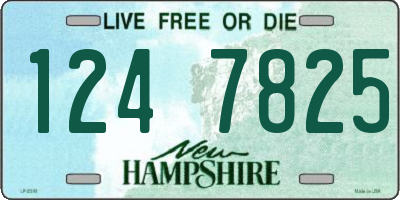 NH license plate 1247825
