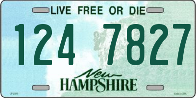 NH license plate 1247827