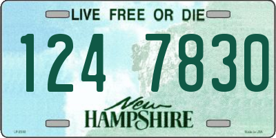 NH license plate 1247830