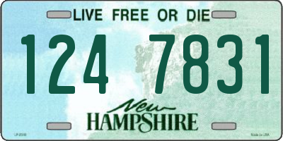 NH license plate 1247831