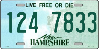 NH license plate 1247833