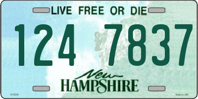 NH license plate 1247837
