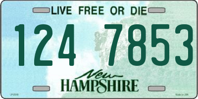 NH license plate 1247853