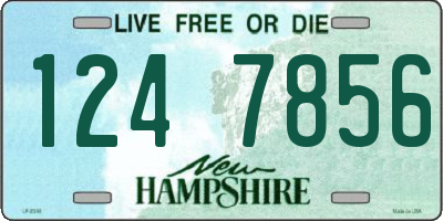NH license plate 1247856