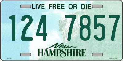 NH license plate 1247857