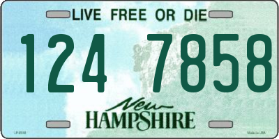 NH license plate 1247858