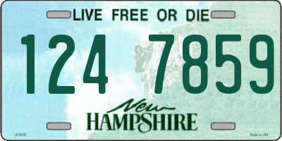 NH license plate 1247859