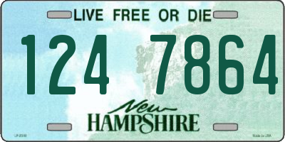 NH license plate 1247864