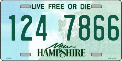 NH license plate 1247866