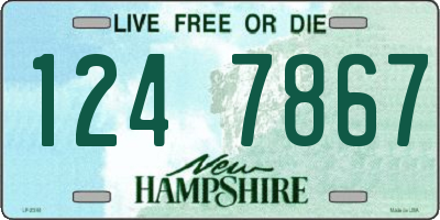 NH license plate 1247867