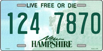 NH license plate 1247870