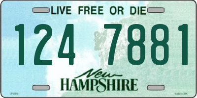 NH license plate 1247881