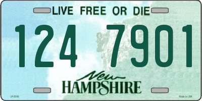 NH license plate 1247901