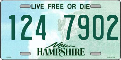 NH license plate 1247902