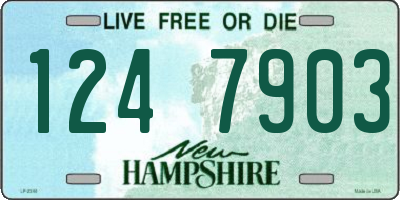 NH license plate 1247903