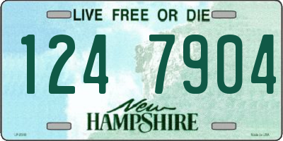 NH license plate 1247904